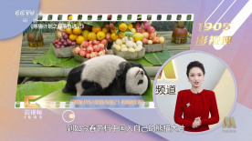 隐秘大胆的婶婶